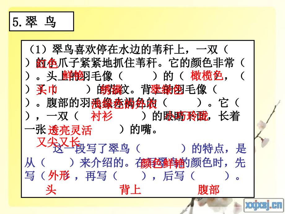 人教版语文三年级下册第二单元复习资料 (2)_第3页