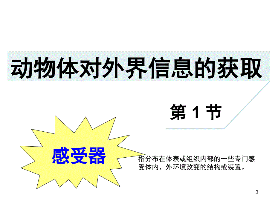 动物对外界信息的获取课堂PPT_第3页