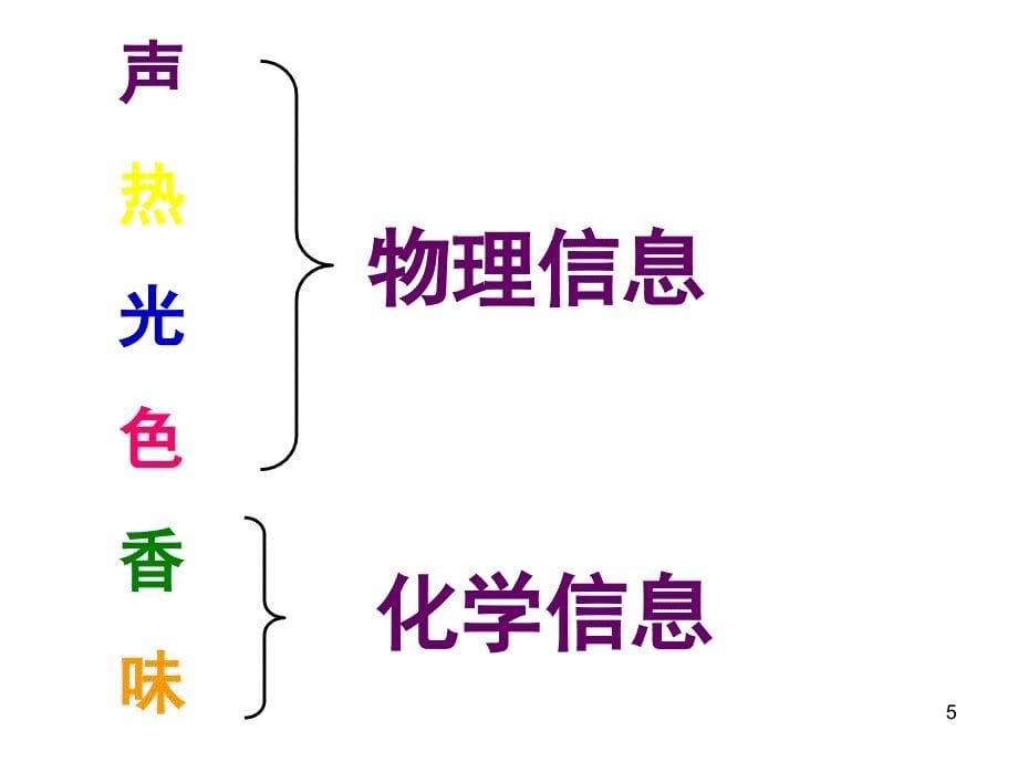 动物对外界信息的获取课堂PPT_第5页