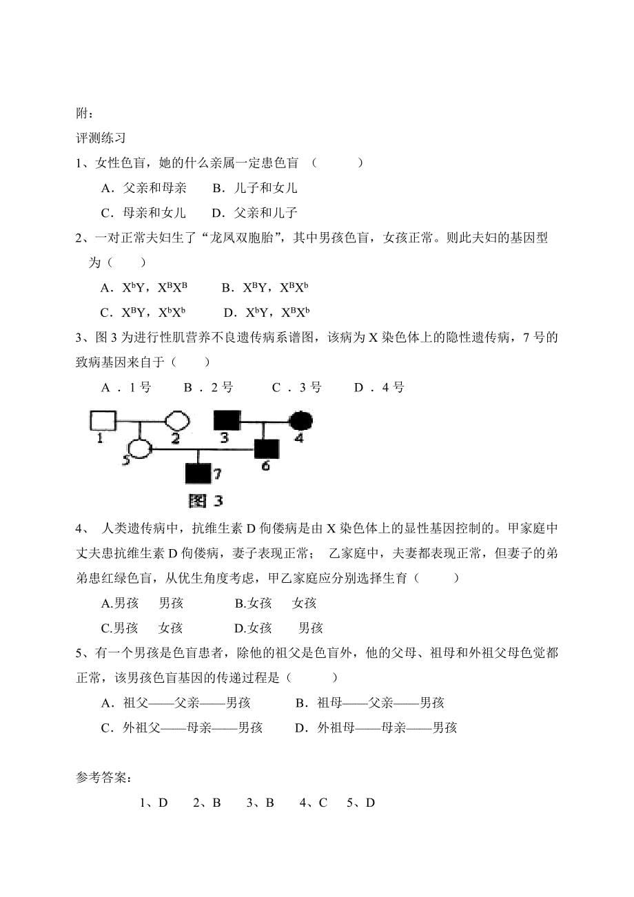 第3节　伴性遗传6.doc_第5页