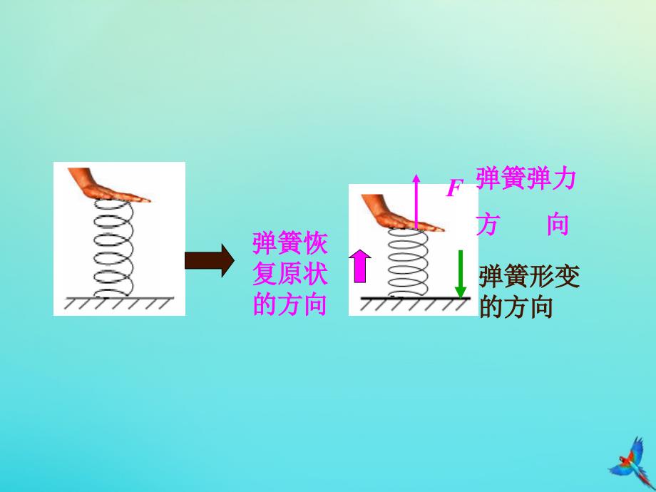 高中物理3.2弹力2课件新人教版必修1_第2页