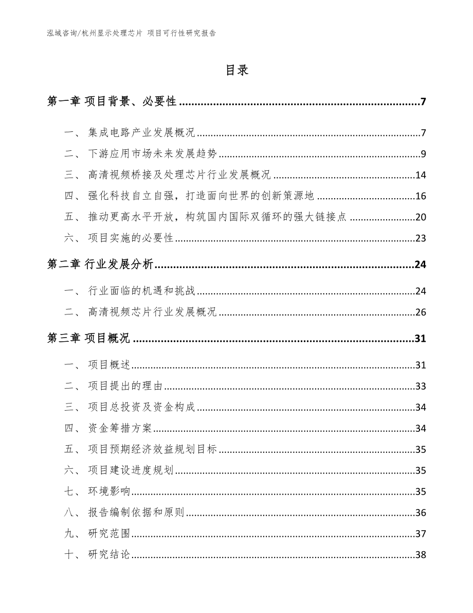 杭州显示处理芯片 项目可行性研究报告（模板范文）_第1页
