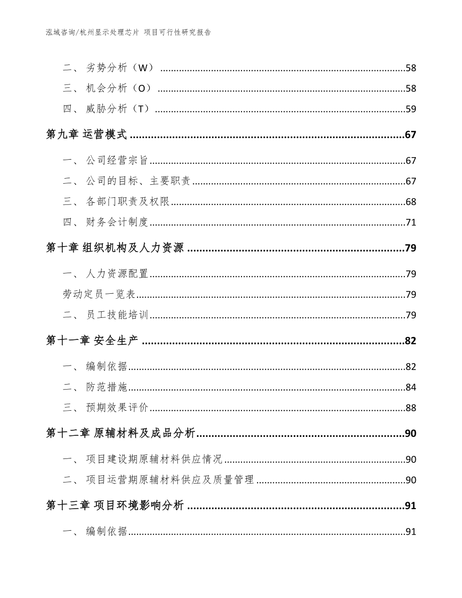 杭州显示处理芯片 项目可行性研究报告（模板范文）_第3页