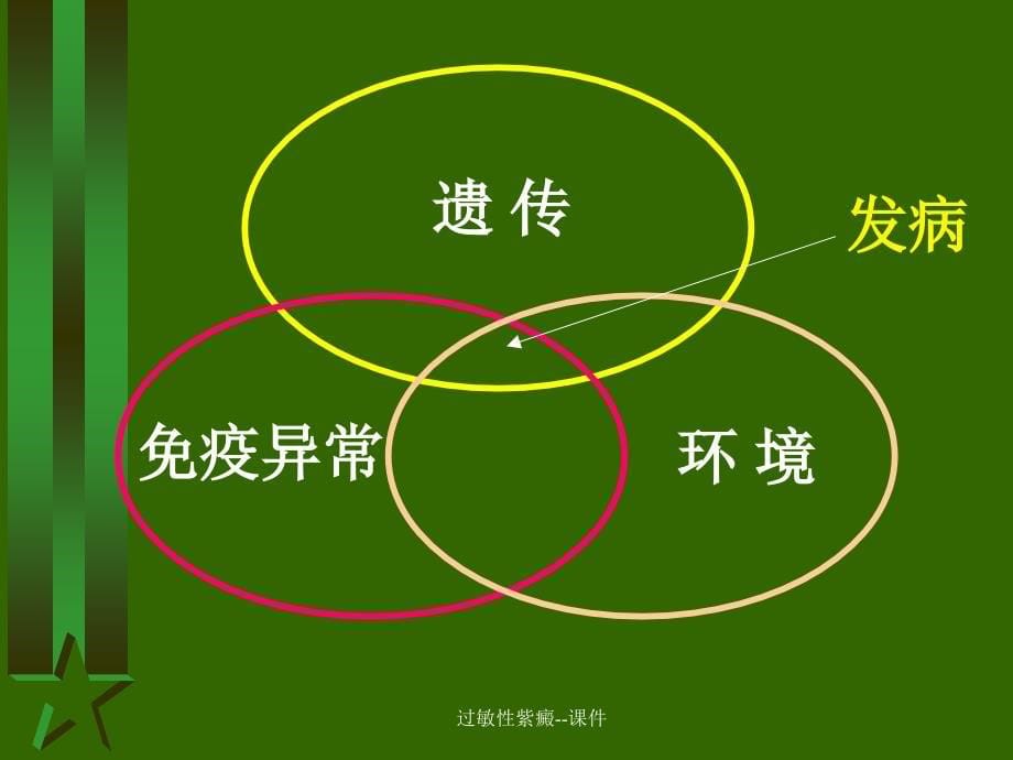 最新过敏性紫癜课件_第5页