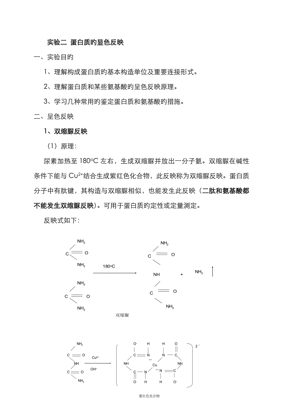 蛋白质的显色反应_第1页