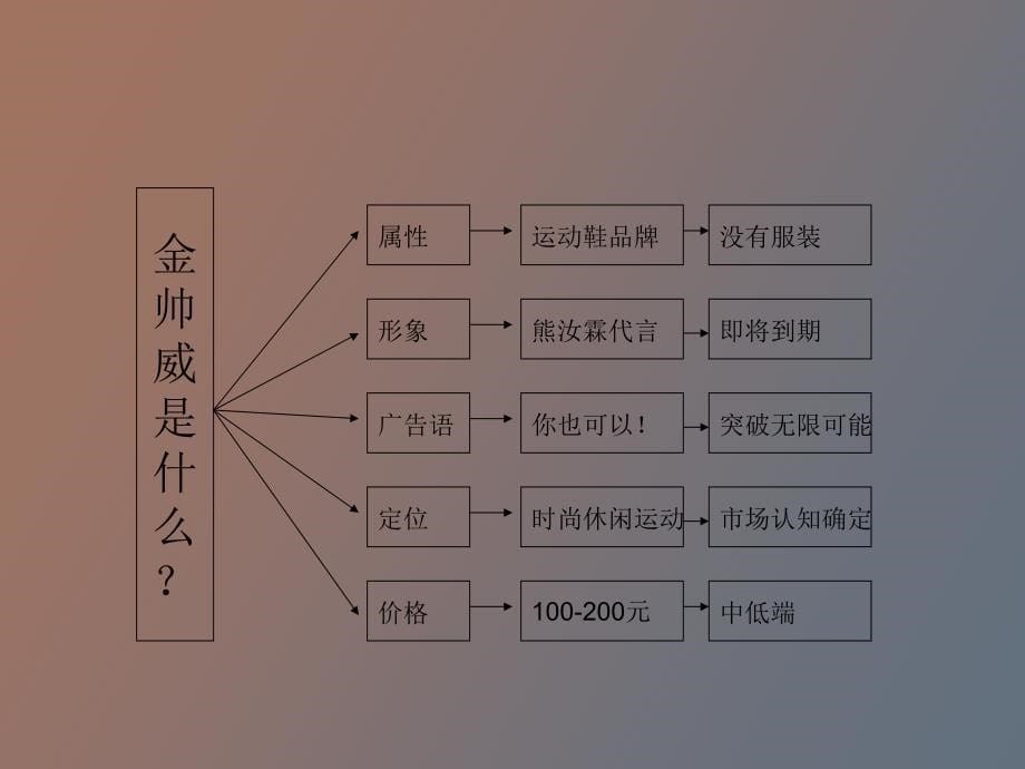 金帅威品牌提案_第5页