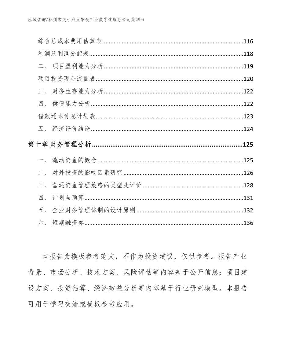 林州市关于成立钢铁工业数字化服务公司策划书【参考范文】_第5页
