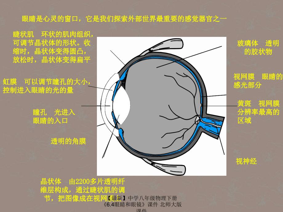 最新八年级物理下册6.4眼睛和眼镜北师大版_第2页