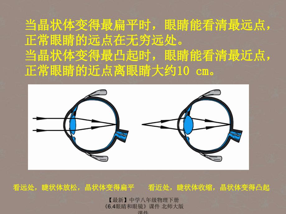 最新八年级物理下册6.4眼睛和眼镜北师大版_第4页