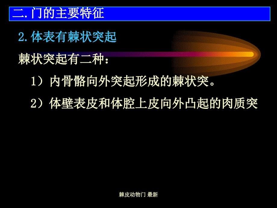 棘皮动物门最新课件_第5页