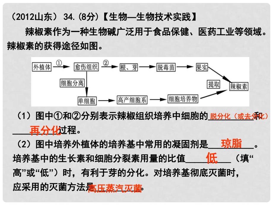 高考生物 专题分析植物的组织培养课件 新人教版_第3页