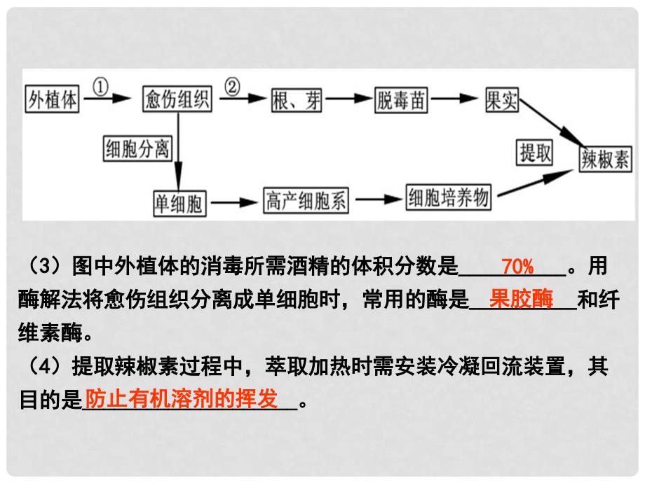 高考生物 专题分析植物的组织培养课件 新人教版_第4页