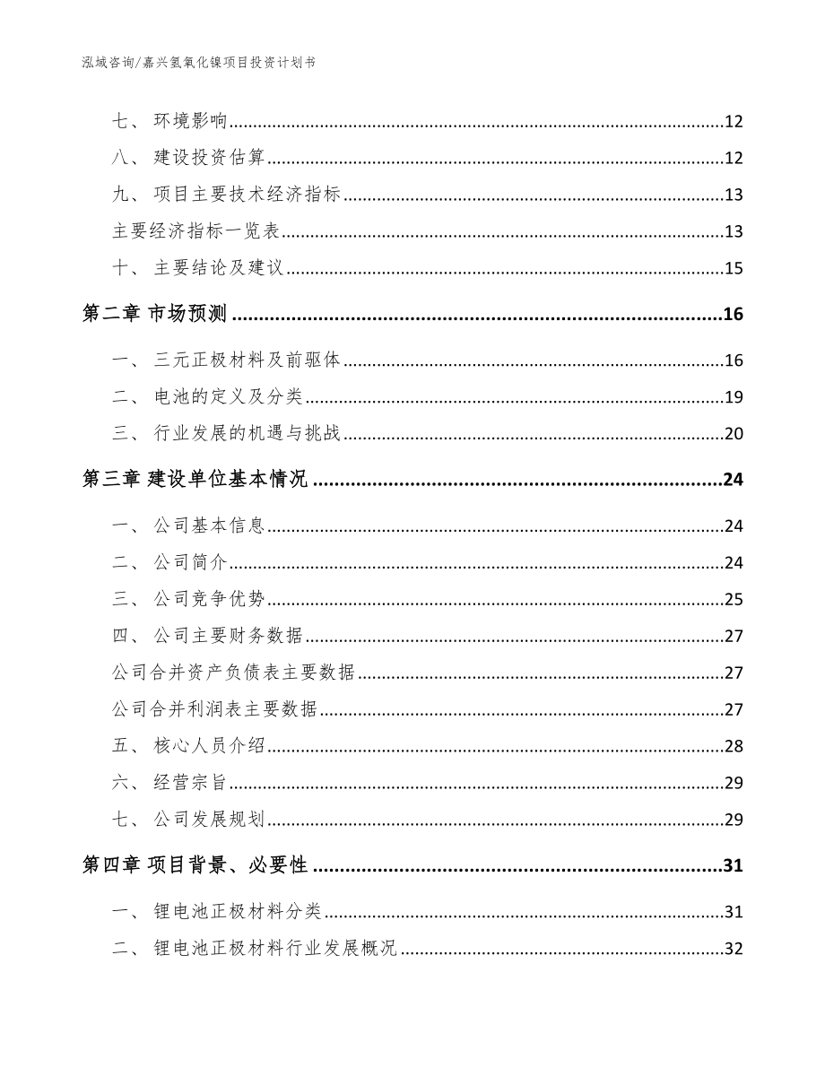 嘉兴氢氧化镍项目投资计划书_参考范文_第4页