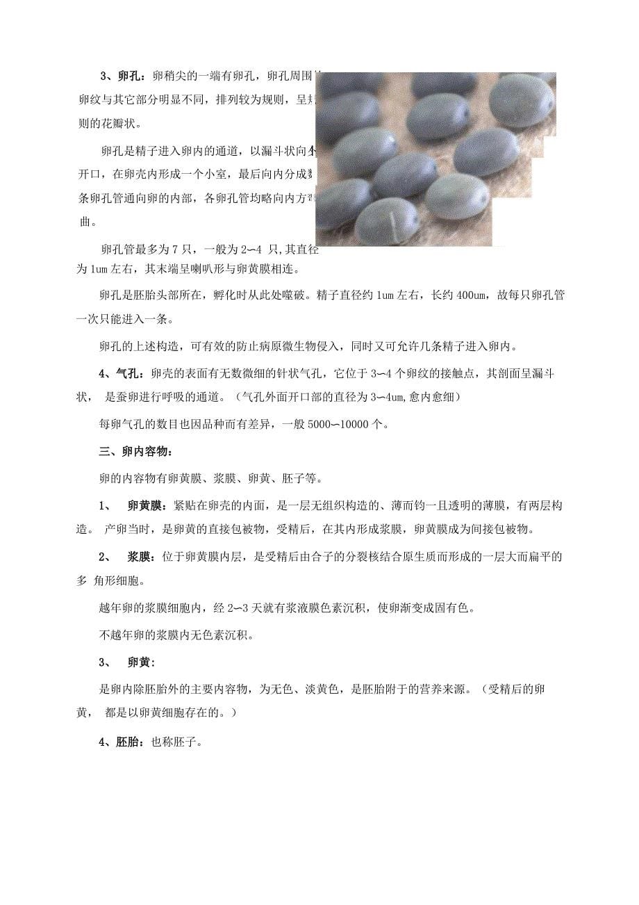 家蚕的变态发育_第5页