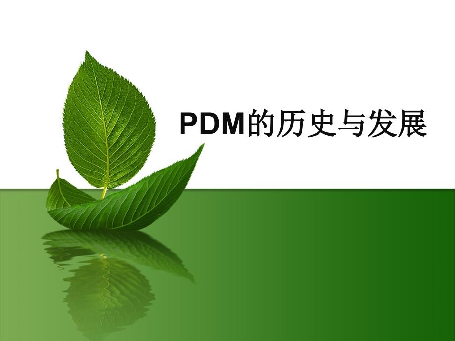 PDM的历史与发展_第1页