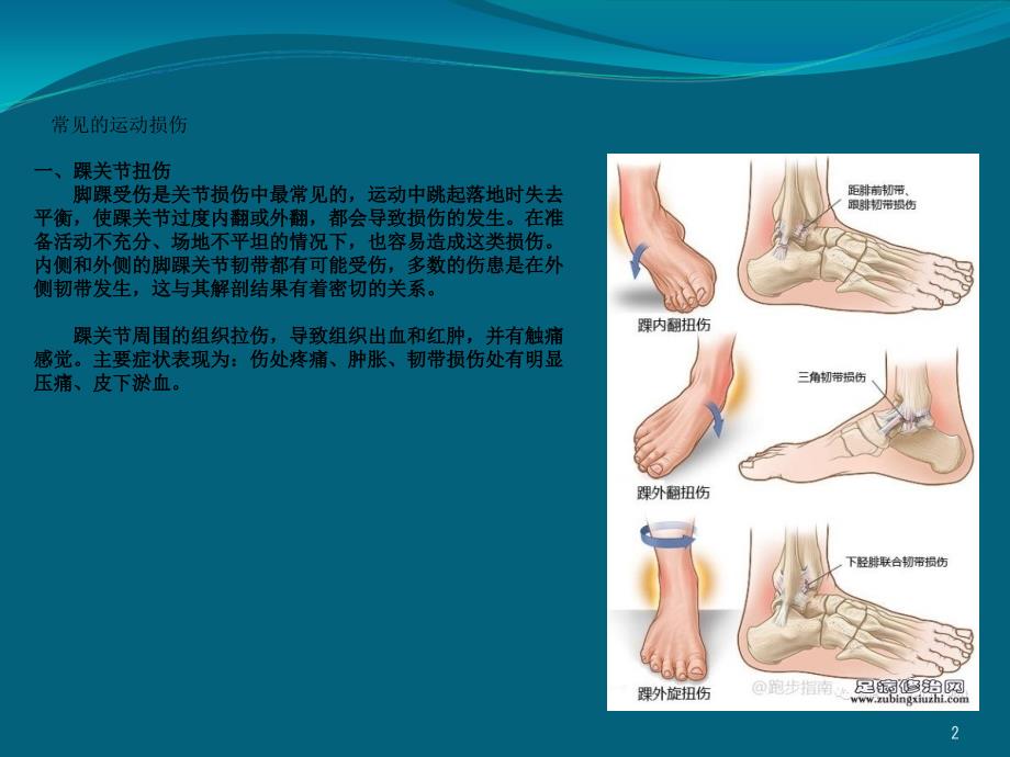 常见损伤应急处理与急救ppt课件_第2页