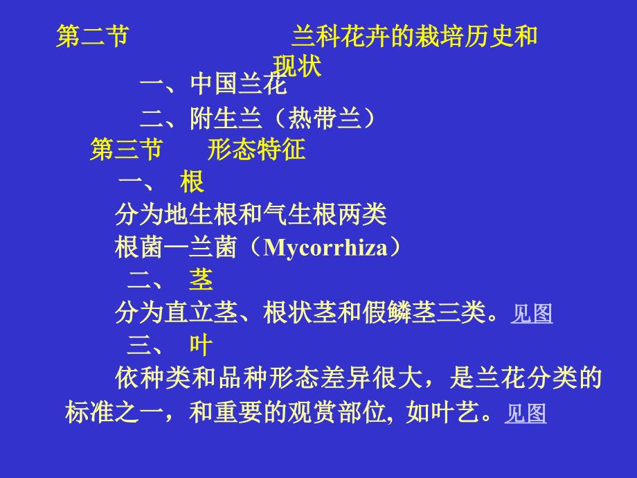 [农学]兰花多媒体教学_第2页