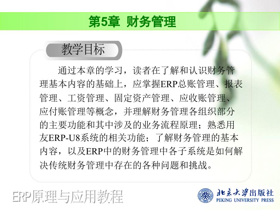 ERP原理与应用教程温雅丽 第5章财务管理_第1页