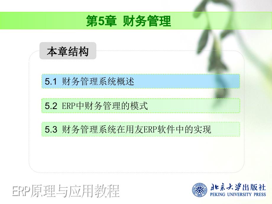 ERP原理与应用教程温雅丽 第5章财务管理_第3页