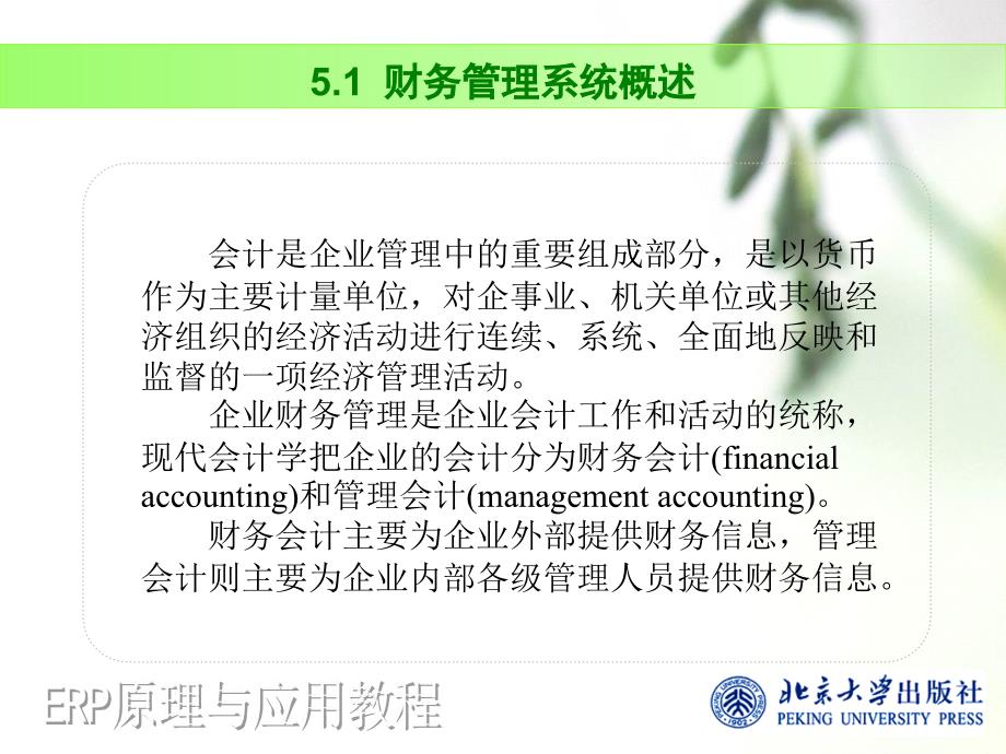 ERP原理与应用教程温雅丽 第5章财务管理_第4页