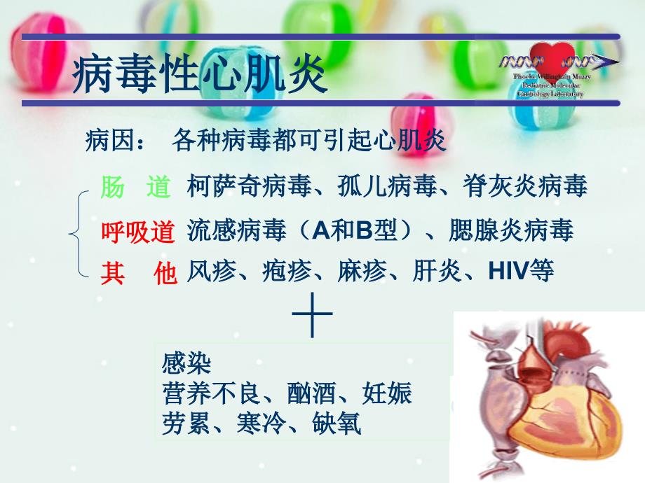 《病毒性心肌炎新》PPT课件_第4页