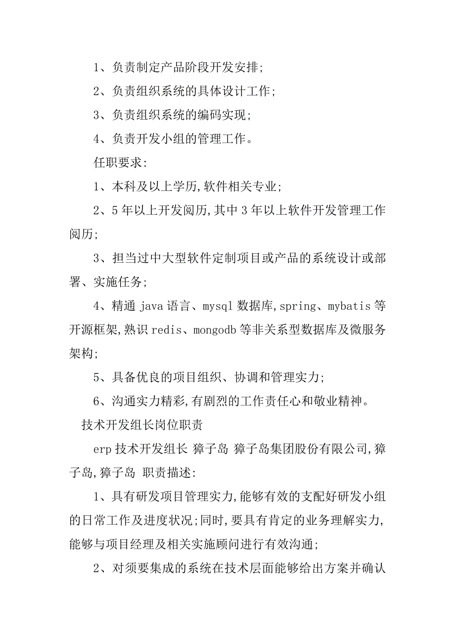 2023年开发组长岗位职责篇_第3页