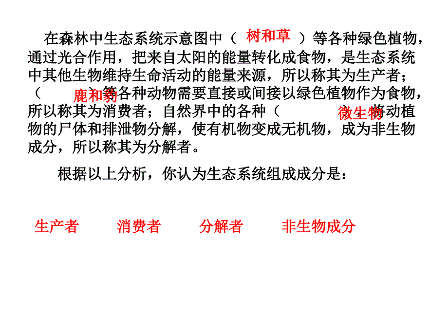 生态系统的基本组成及相互关系_第4页