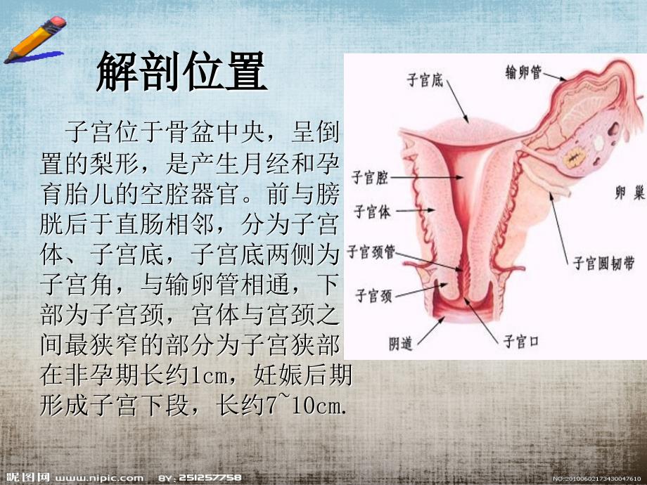 子宫下段剖腹产术_第4页