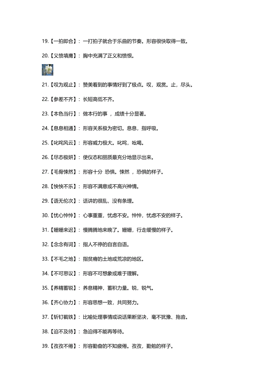 初一常考成语_第2页