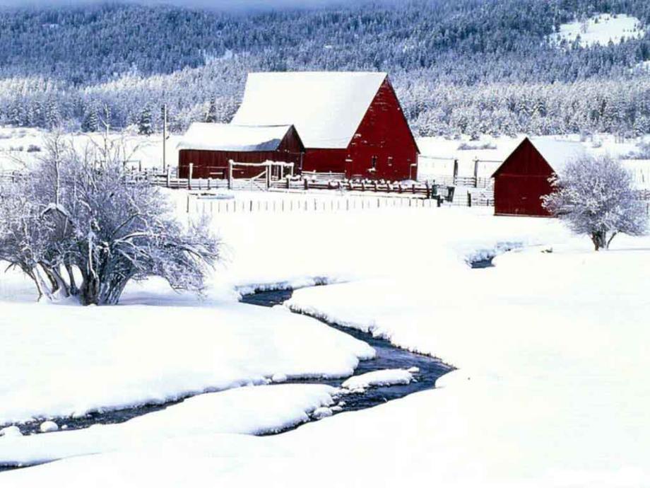 课文17雪地里的小画家_第3页