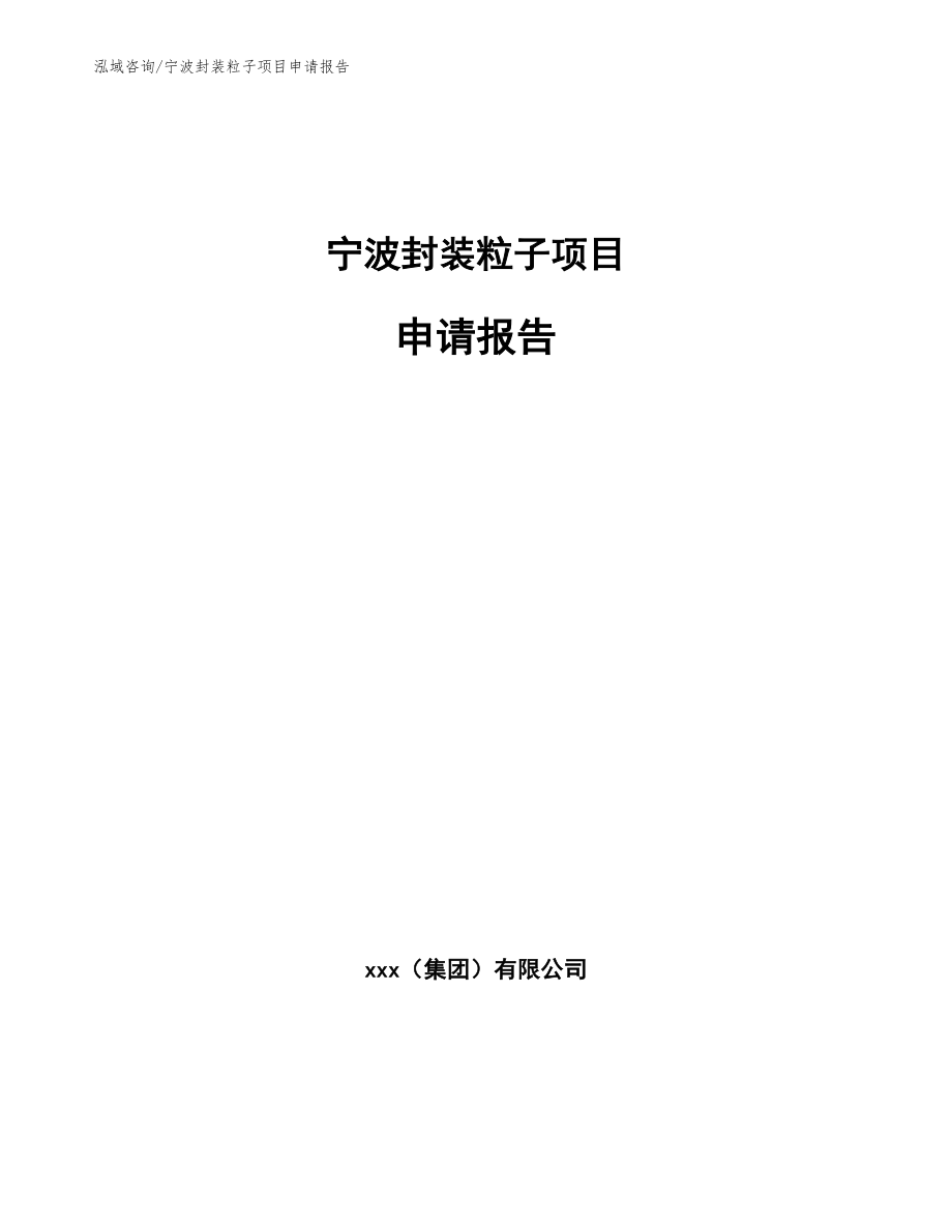 宁波封装粒子项目申请报告模板范文_第1页