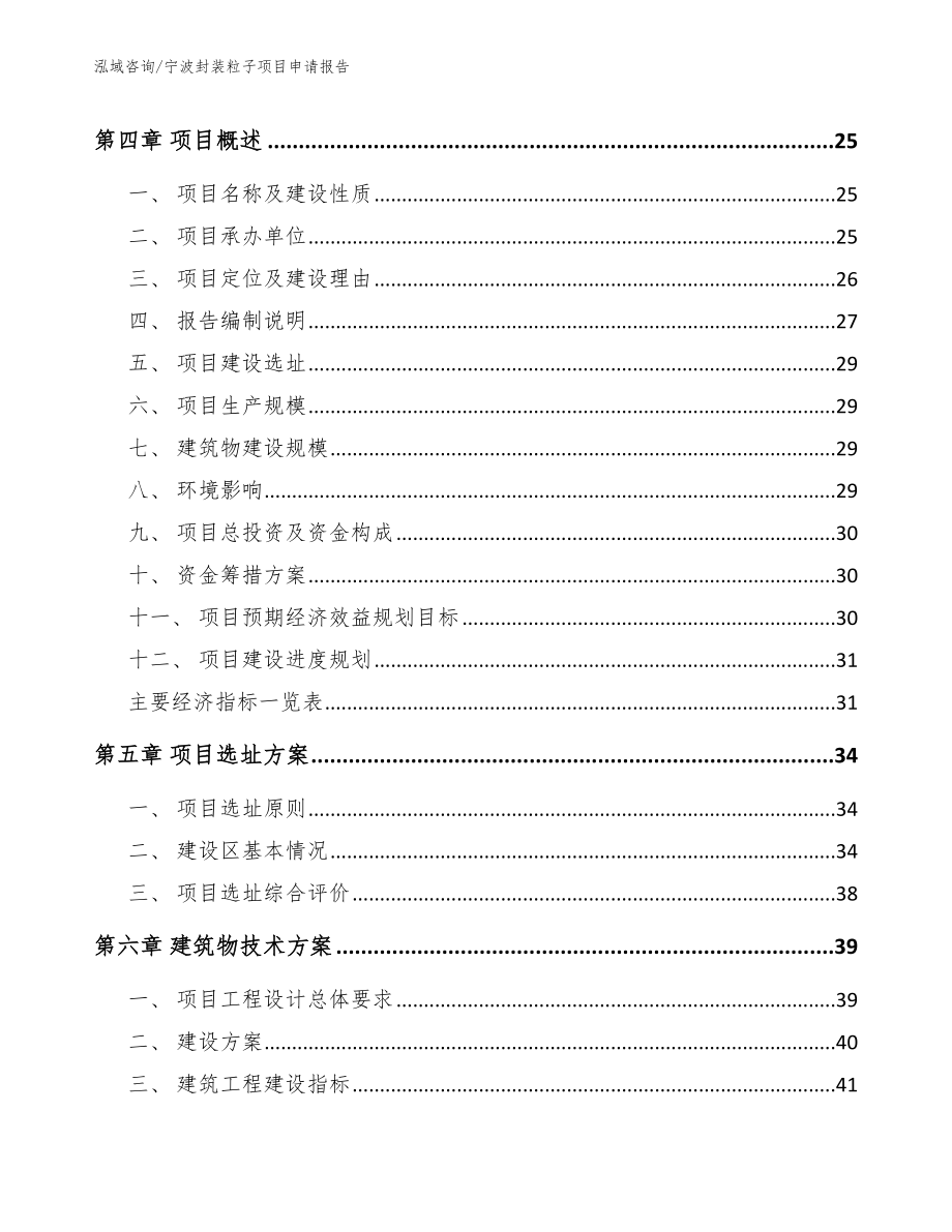 宁波封装粒子项目申请报告模板范文_第3页