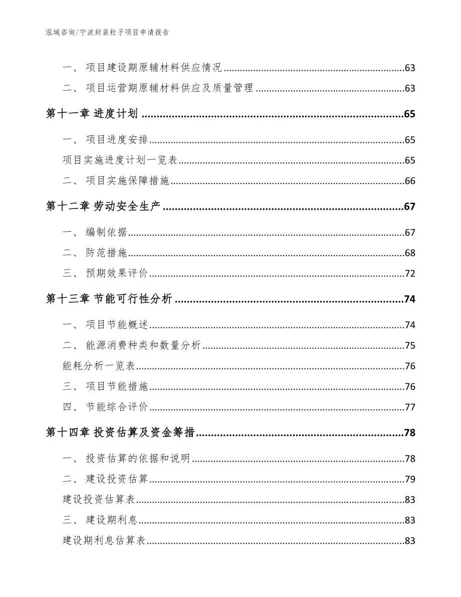 宁波封装粒子项目申请报告模板范文_第5页