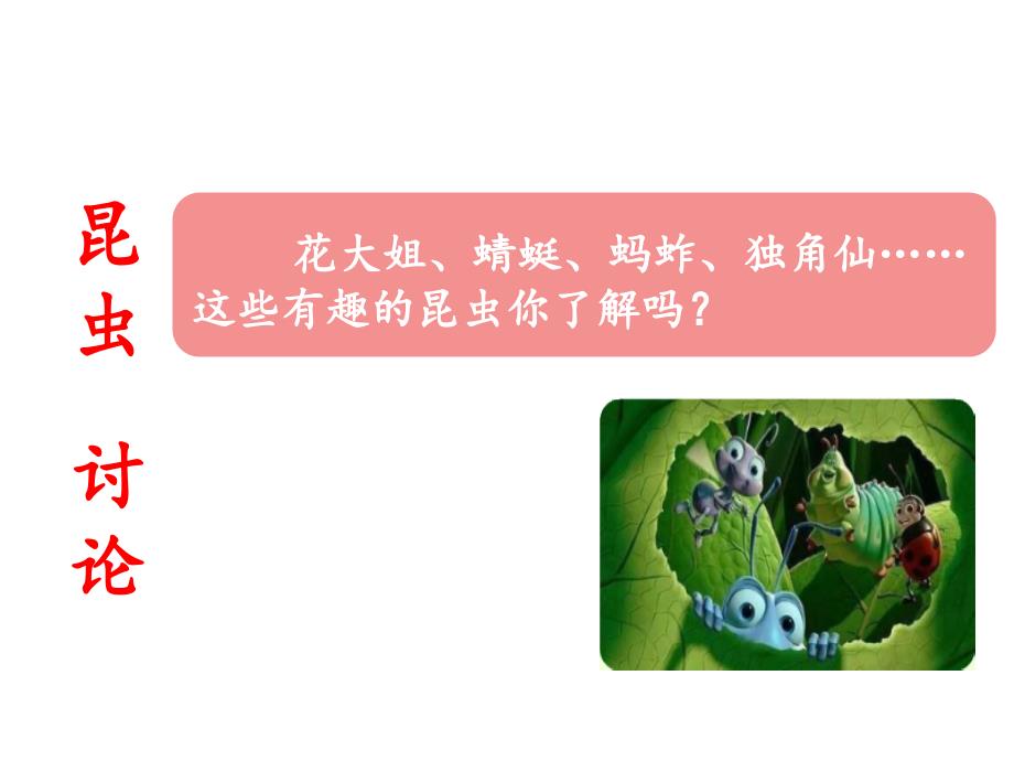 昆虫备忘录教学课件2_第3页