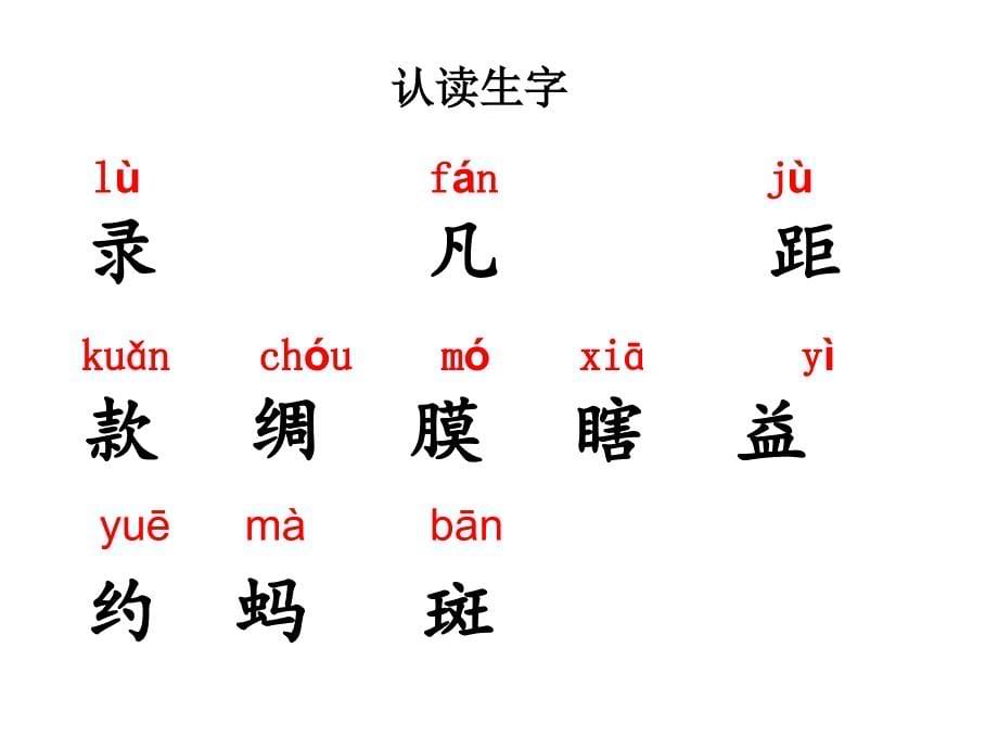 昆虫备忘录教学课件2_第5页