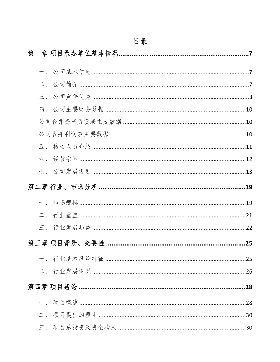 武汉高弹塑料粒子项目可行性研究报告(DOC 79页)_第1页