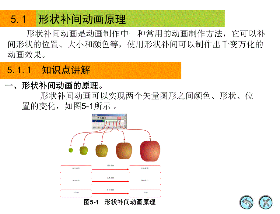 Flash8制作形状补间动画_第4页