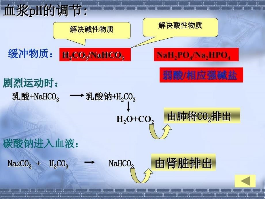 改11细胞生活的环境课件3新人教版必修3_第5页