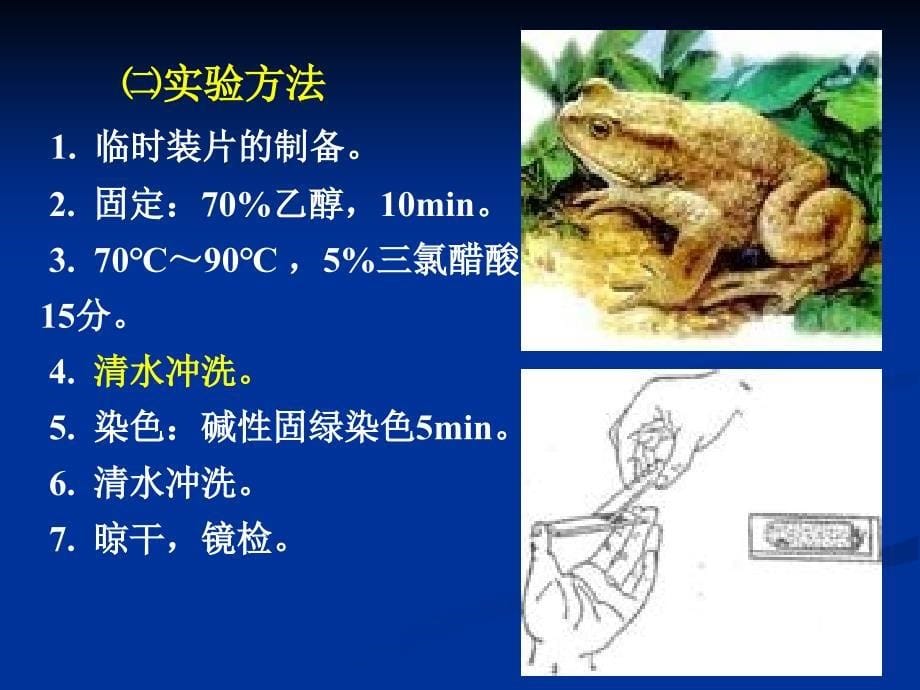 实验三细胞化学成分的显示_第5页