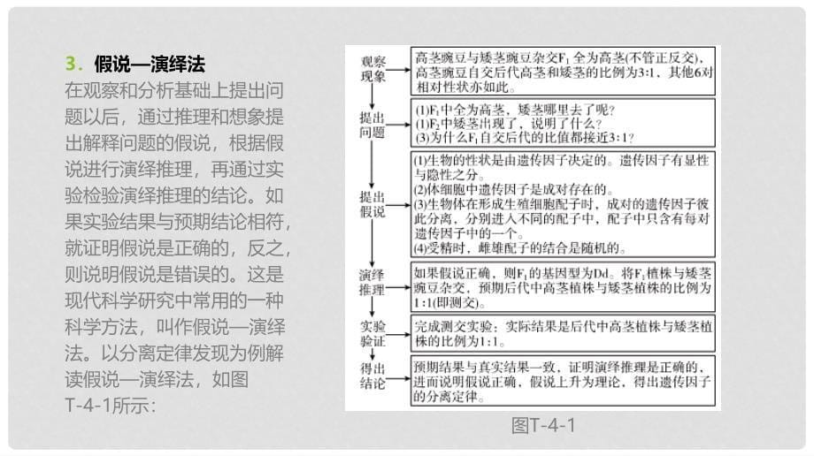 高考生物一轮复习（基础知识巩固+考点互动探究+考例考法直击+教师备用习题）题型专项4 研究方法类课件_第5页