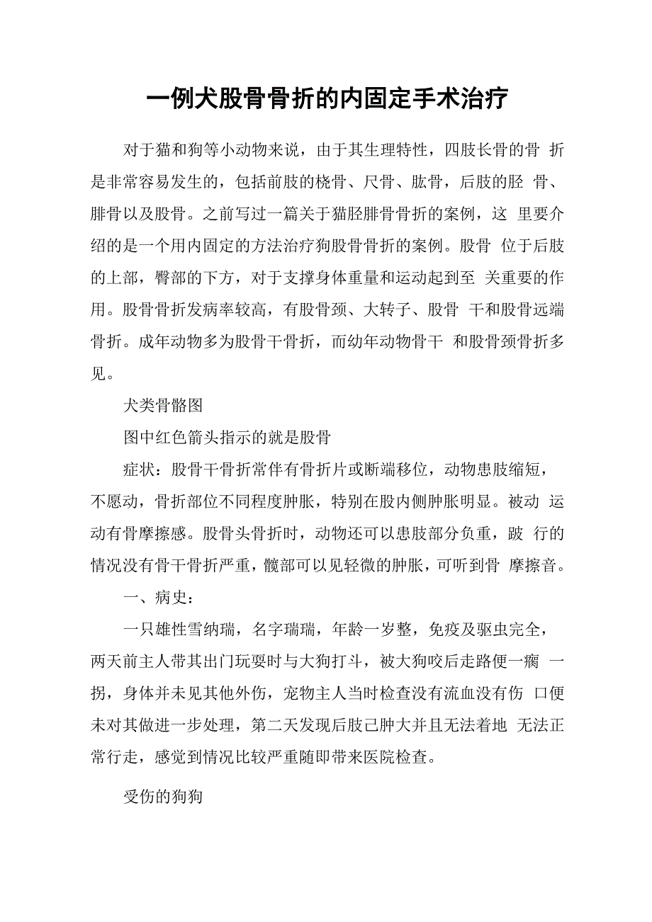 一例犬股骨骨折的内固定手术治疗_第1页