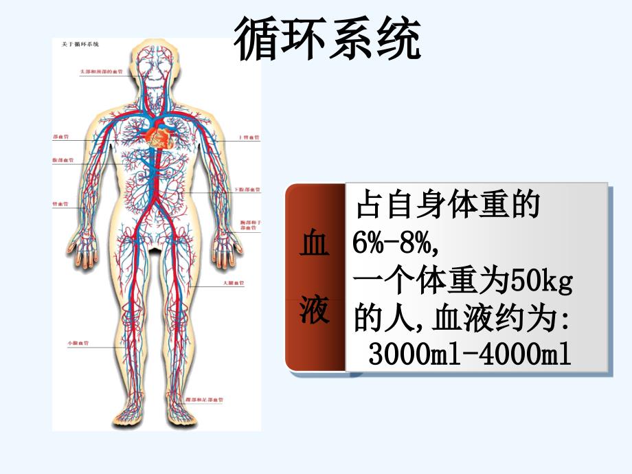 创伤救护止血包扎固定搬运可修改版ppt课件_第4页