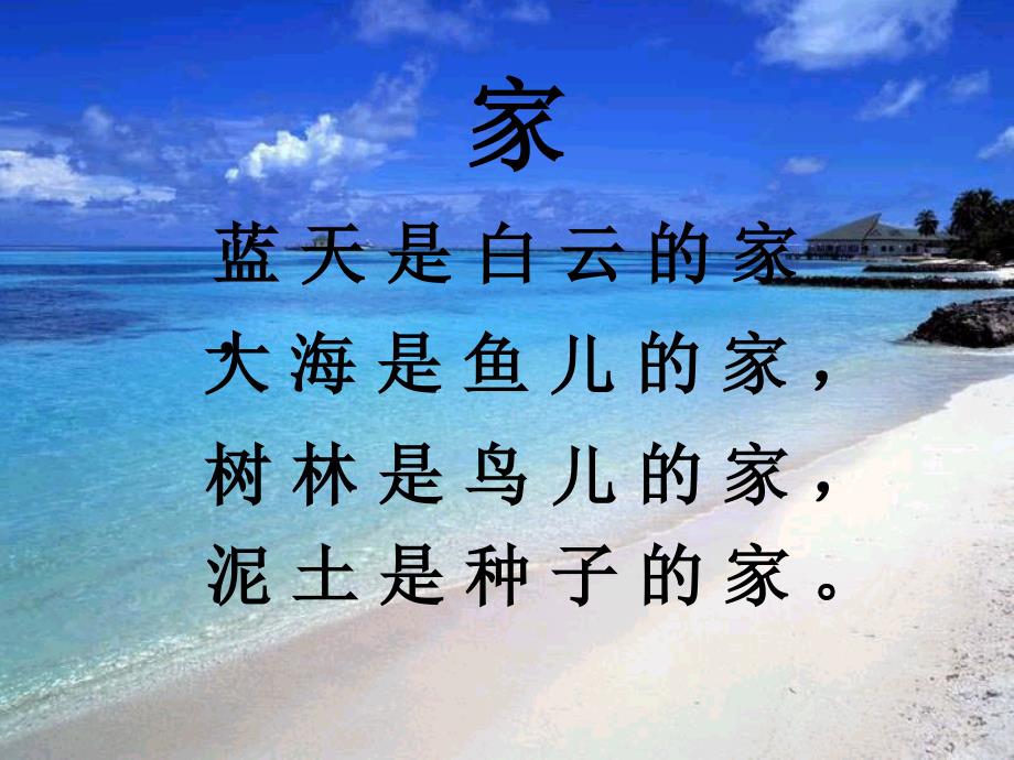 浅水洼里的小鱼教学课件_第1页