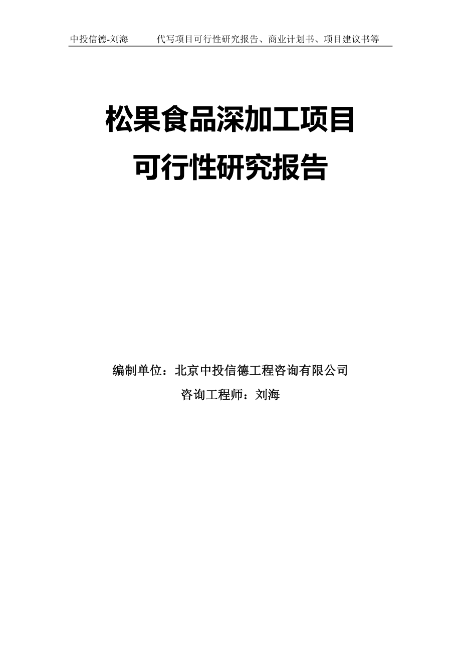 松果食品深加工项目可行性研究报告模板_第1页