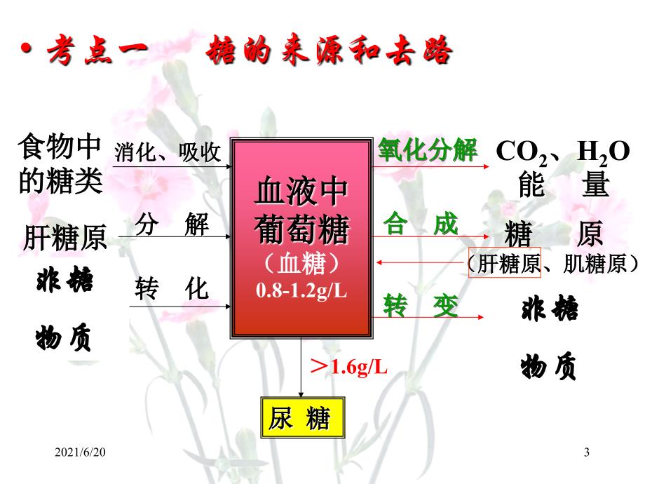 血糖平衡的调节新的_第3页