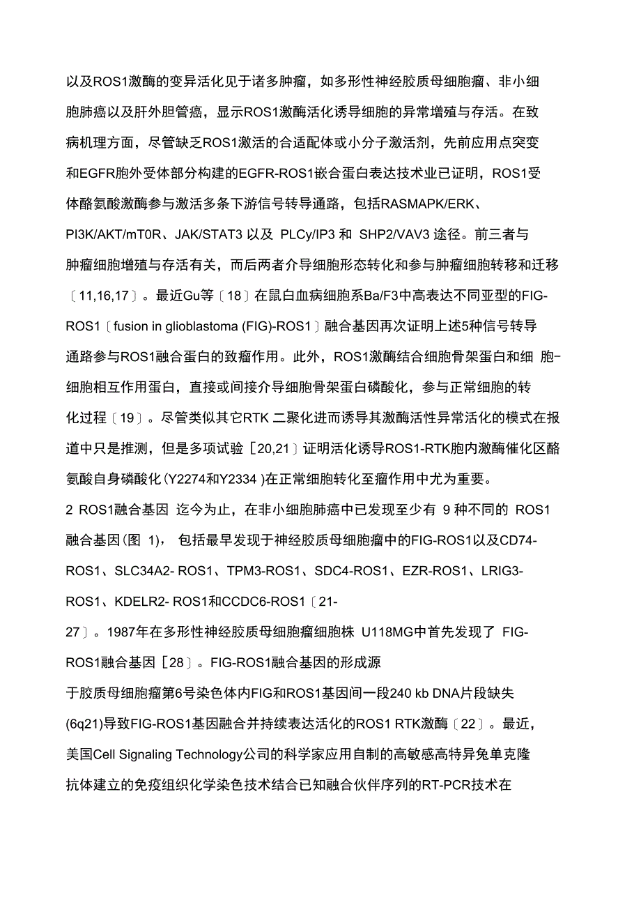 非小细胞肺癌中ROS1基因重排及其临床意义_第4页