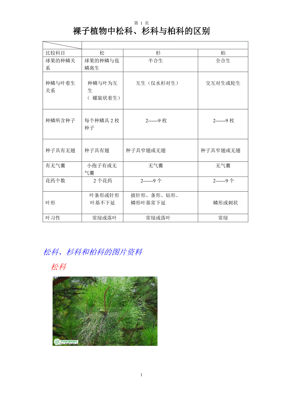 列表比较松、杉、柏三科的区别_第1页