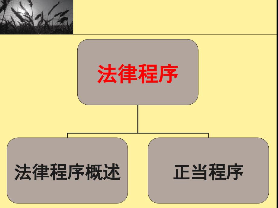 法理学第十二章法律程序讲诉_第3页