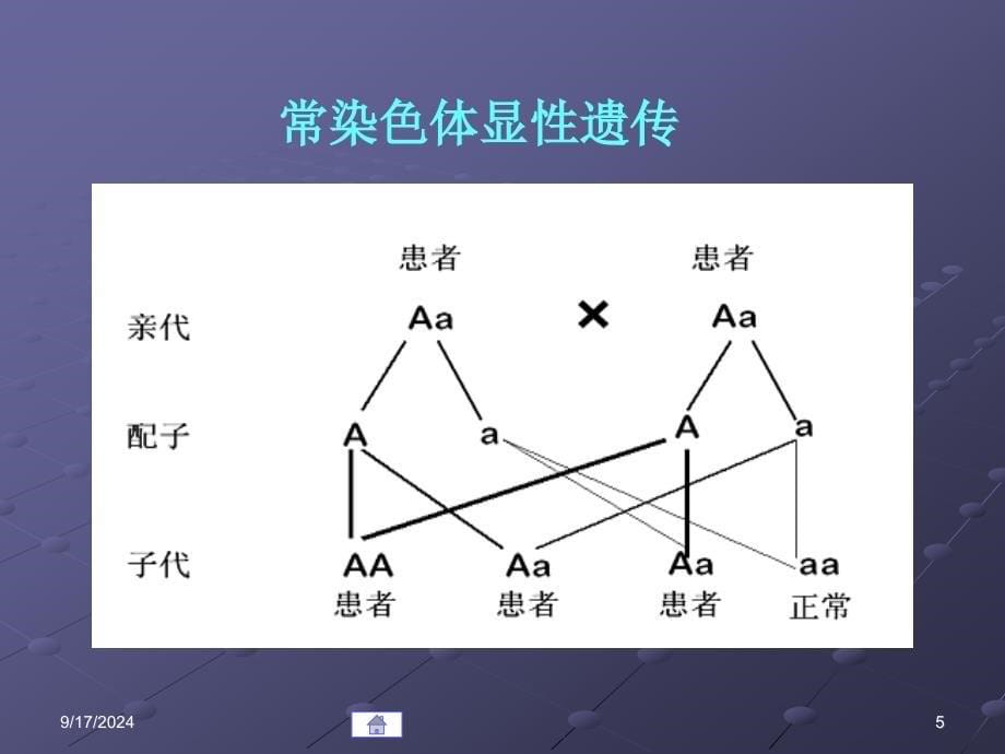 第09章基因变异与疾病_第5页