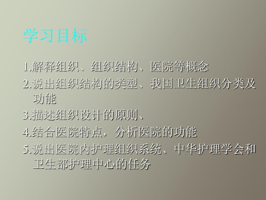 组织结构与设计护理管理学基础_第2页